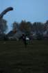 dsc_0015_small.jpg