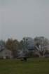 dsc_0485_small.jpg
