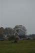 dsc_0486_small.jpg