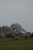 dsc_0487_small.jpg