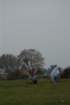 dsc_0488_small.jpg