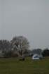 dsc_0489_small.jpg