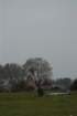 dsc_0491_small.jpg