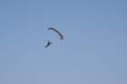 img_5490_small.jpg
