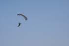 img_5492_small.jpg
