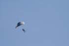 img_5581_small.jpg