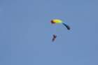 img_5677_small.jpg