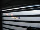 img_0888_small.jpg