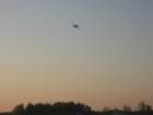 img_0891_small.jpg