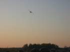 img_0892_small.jpg
