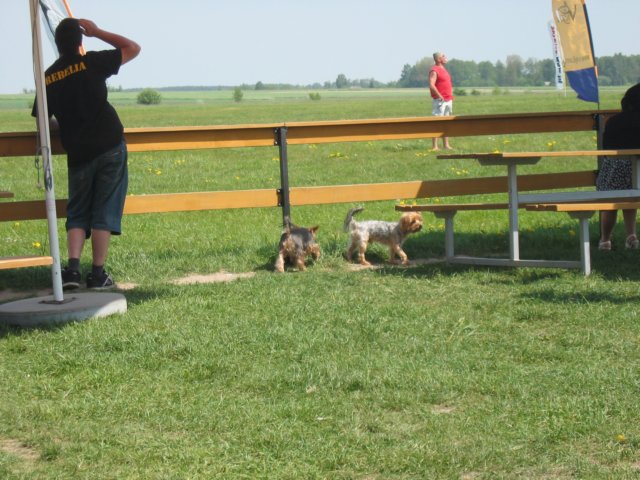 img_0939.jpg