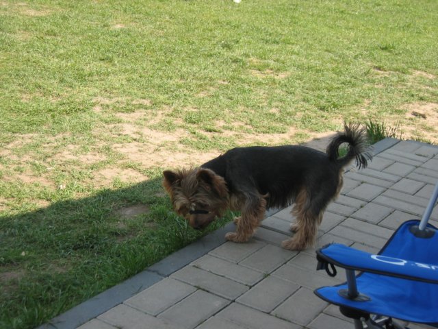 img_0943.jpg