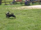 img_0977_small.jpg