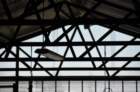 dsc_0157_small.jpg