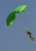 zielonyfalcon_small.jpg