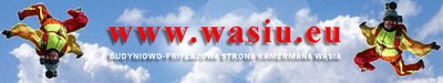 Strona W�sia