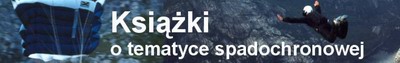 Strona Borysa